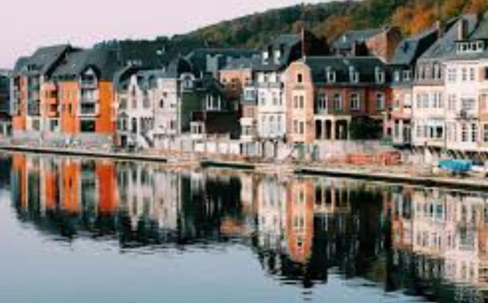 Maison Fontaine Du Saxophone Dinant Eksteriør billede